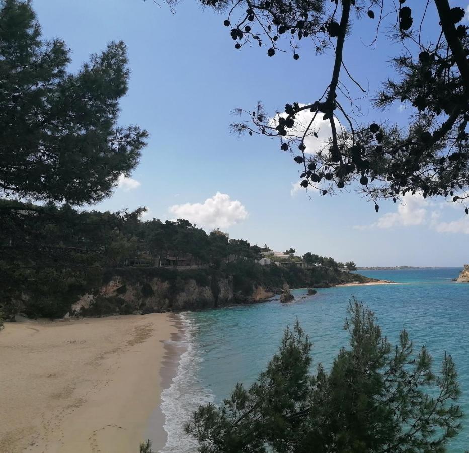 Aparthotel Argostoli Loft Zewnętrze zdjęcie