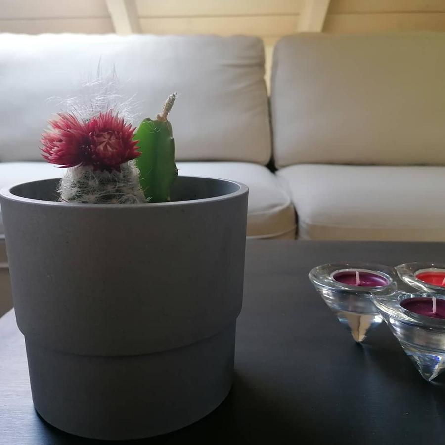 Aparthotel Argostoli Loft Zewnętrze zdjęcie