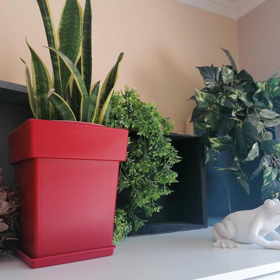 Aparthotel Argostoli Loft Zewnętrze zdjęcie